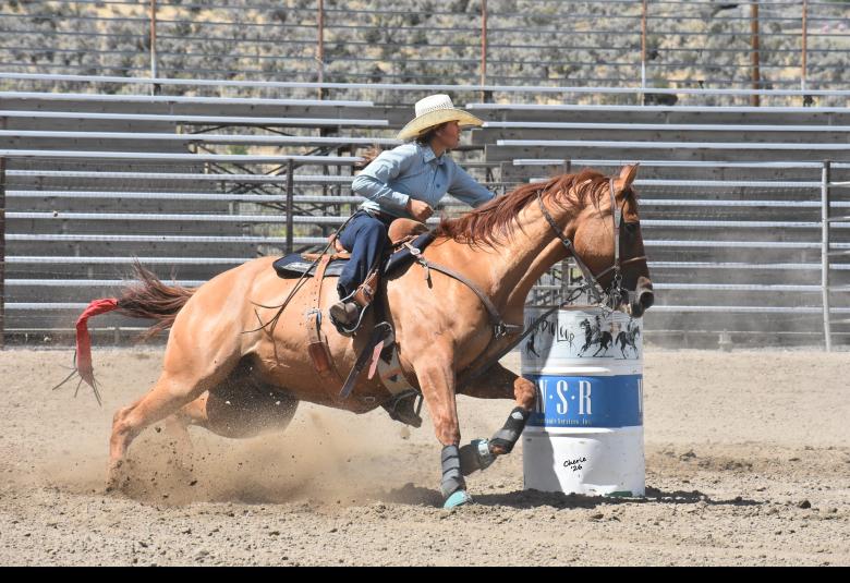 Photos by Cherie Rolland / Cherie Rolland Photography; and submitted