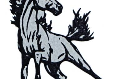 Jordan Valley logo